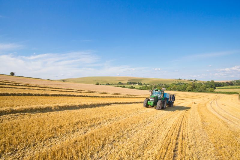 Tractor-pulling-trailer-in-sunny-rural-field