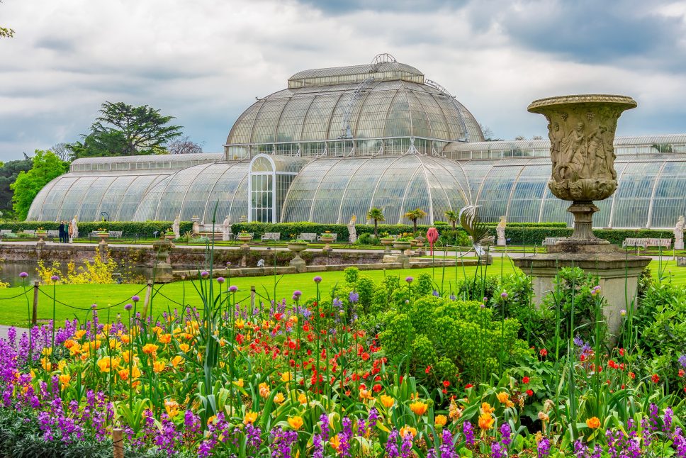 Palm house in Kew botanical gardens in spring, London, UK